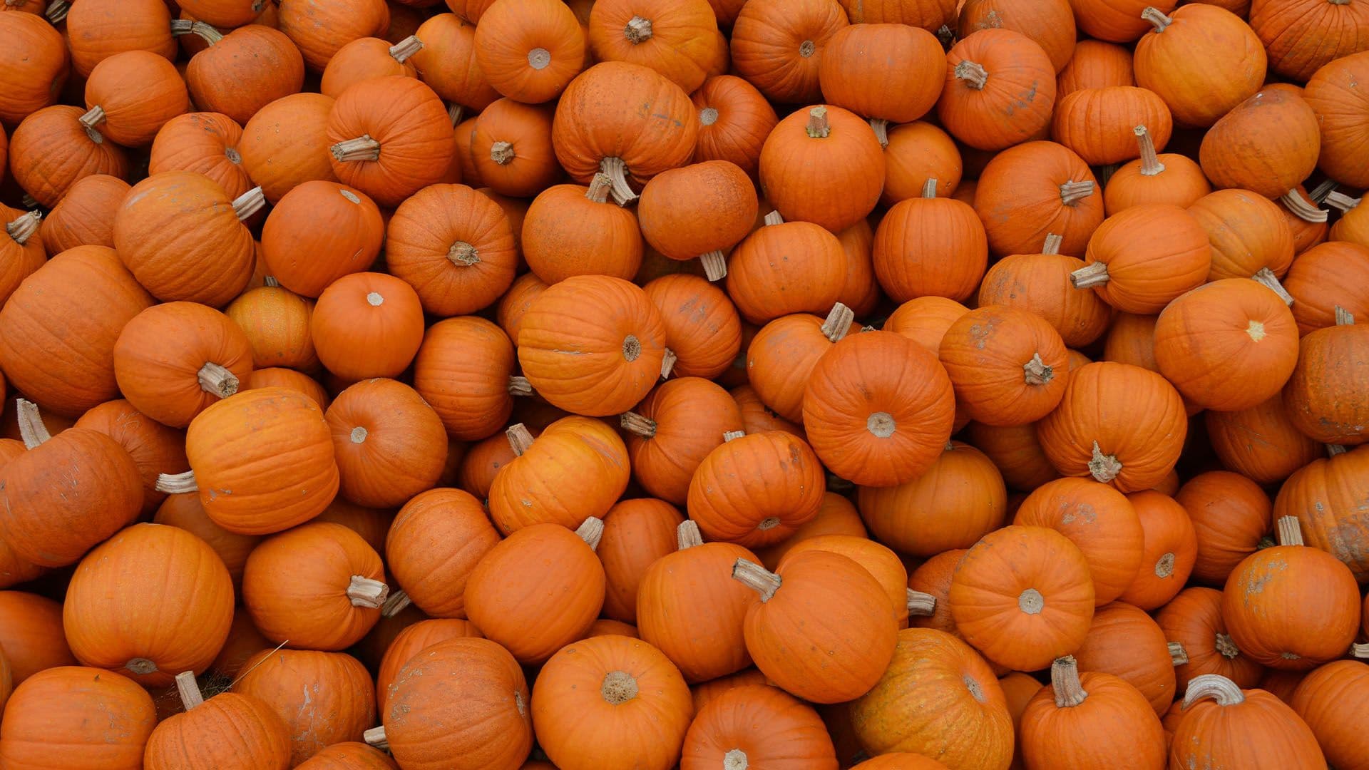 Free Graphics - October 2026