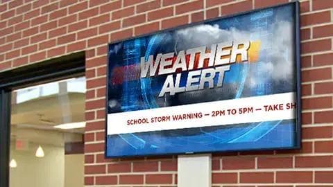 Real-Time Alerts