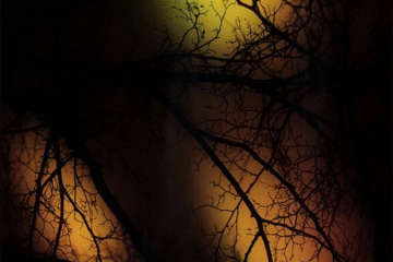 Holidays Halloween Template 6P