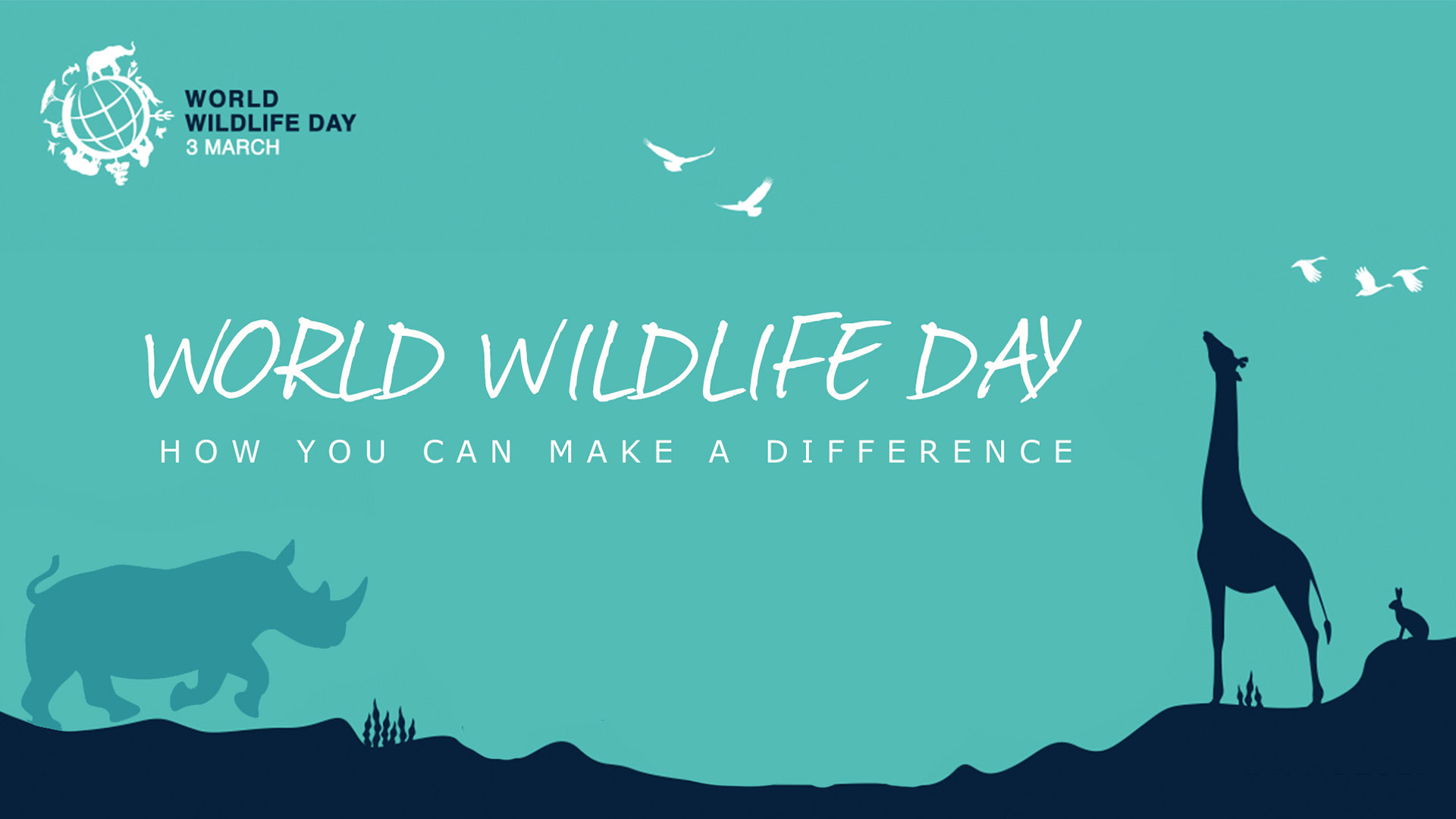 March 3 World Wildlife Day Digital Signage Graphic