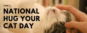 June 4 National Hug Your Cat Day Digital Signage Graphic