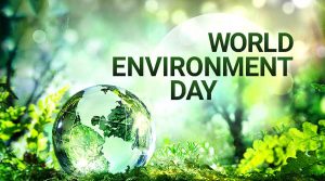 June 5 World Environment Day Digital Signage Graphic