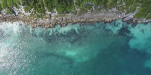 Beach Shore Aerial View Reef Sea Digital Signage Video