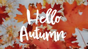 Hello Autumn Digital Signage Graphic