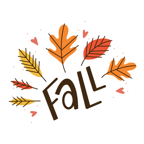 Fall Digital Signage Graphic