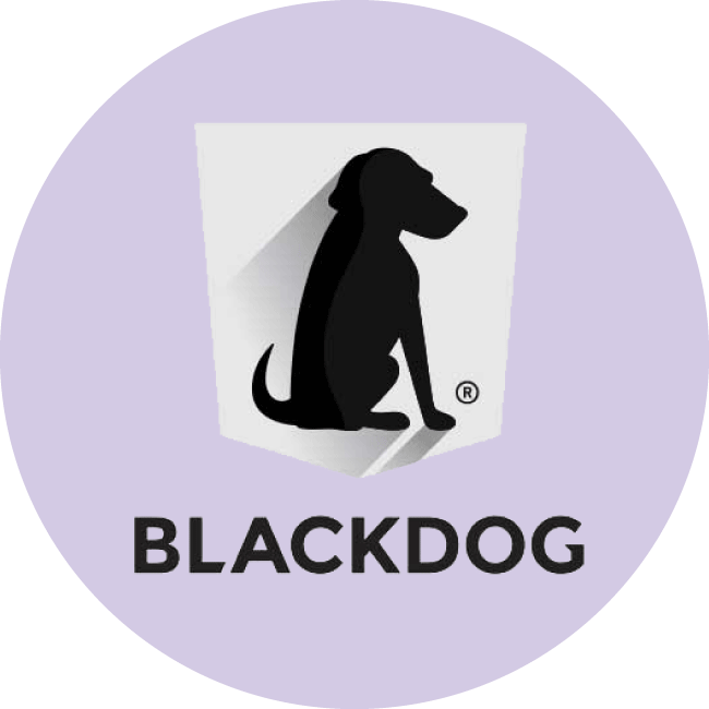 Blackdog-Marketing_Project-Consultation_Digital-Signage_Digital-Signage-Services-2