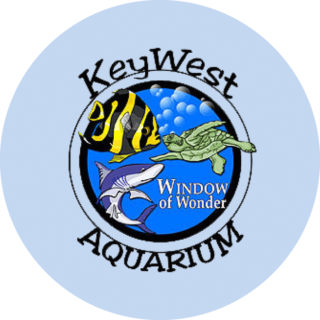 Key-West-Aquarium_Project-Consultation_Digital-Signage_Digital-Signage-Services-2