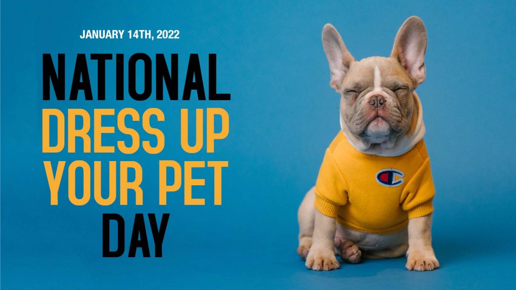 Dress Your Pet Up Day Jan14 Arreya Digital Signage Graphic