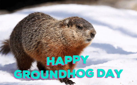 Groundhog Day Feb 2 Digital Signage Graphic