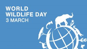 World Wildlife Day March 3 Arreya Digital Signage Graphic