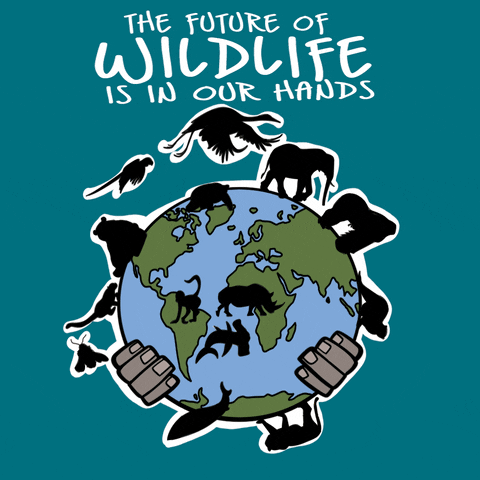 World Wildlife Day March 3 Arreya Digital Signage Graphic