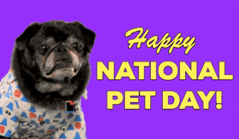 National Pet Day April 11 Arreya Digital Signage Graphic