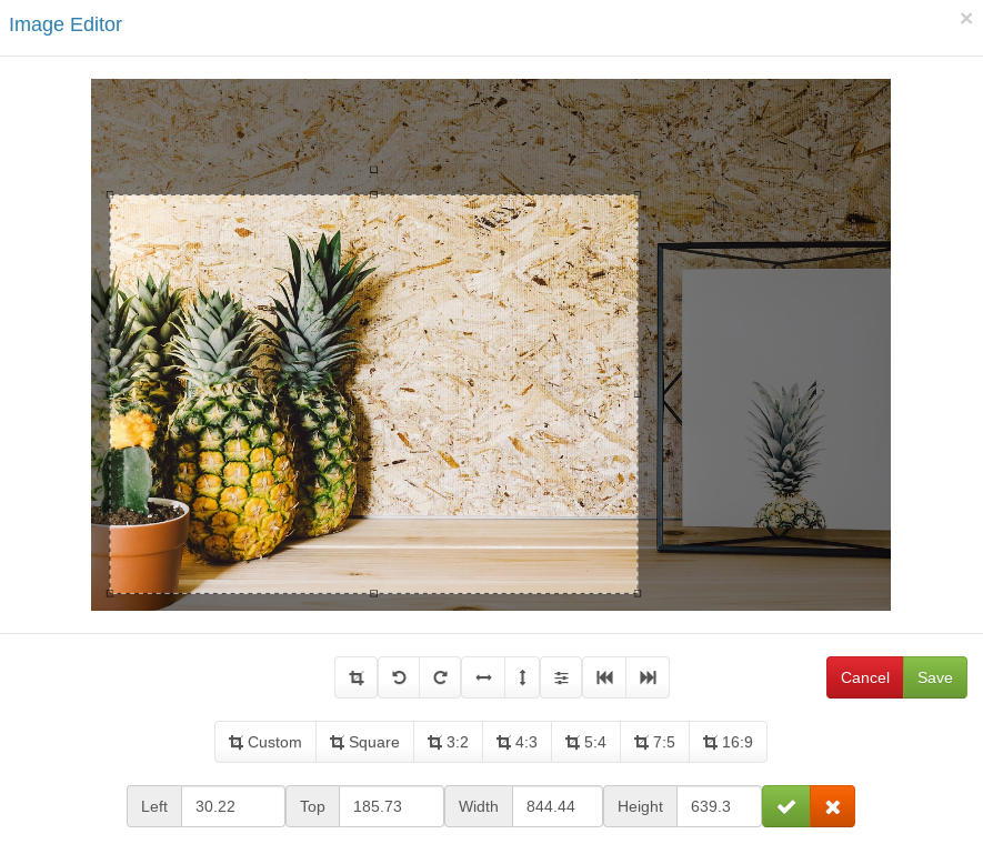 Arreya has a new built-in image editor.  This new image editor allows you to crop, rotate, resize, and adjust images right in the media library.