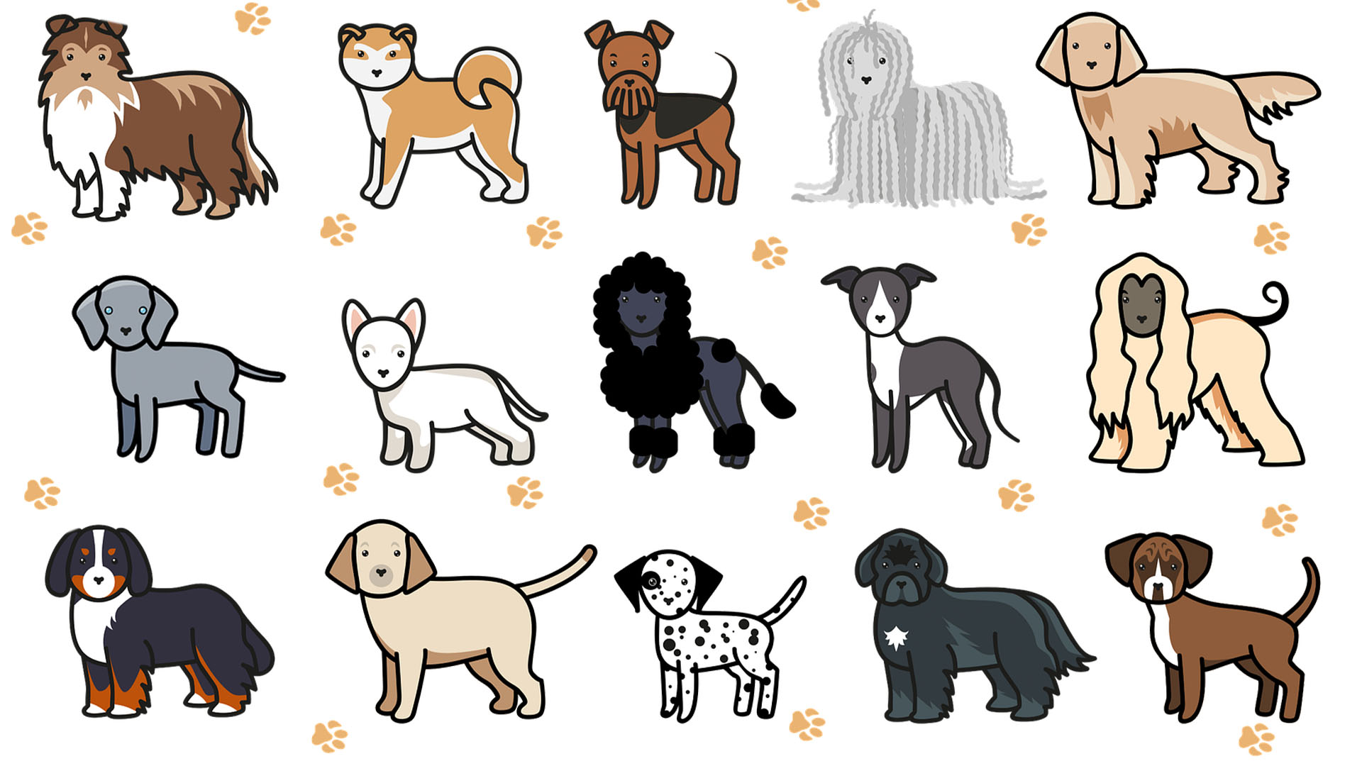 12 different types of illustrated dogs with yellow paw prints spreading across the image
