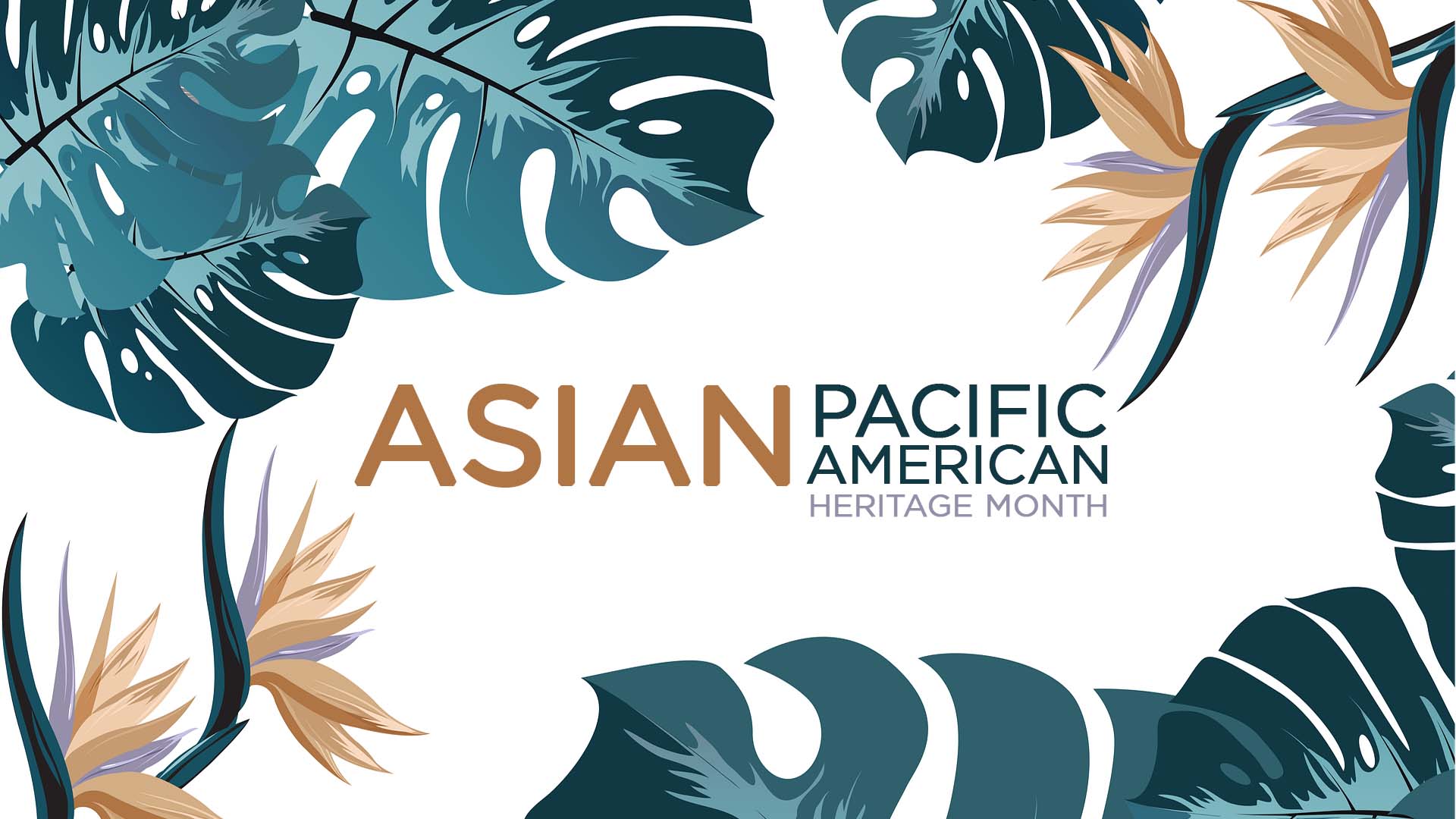 white background with teal monstera leaves and birds of paradise flowers scattered across the edge of the graphic. Asian Pacific American Heritage Month written in the middle of the graphic