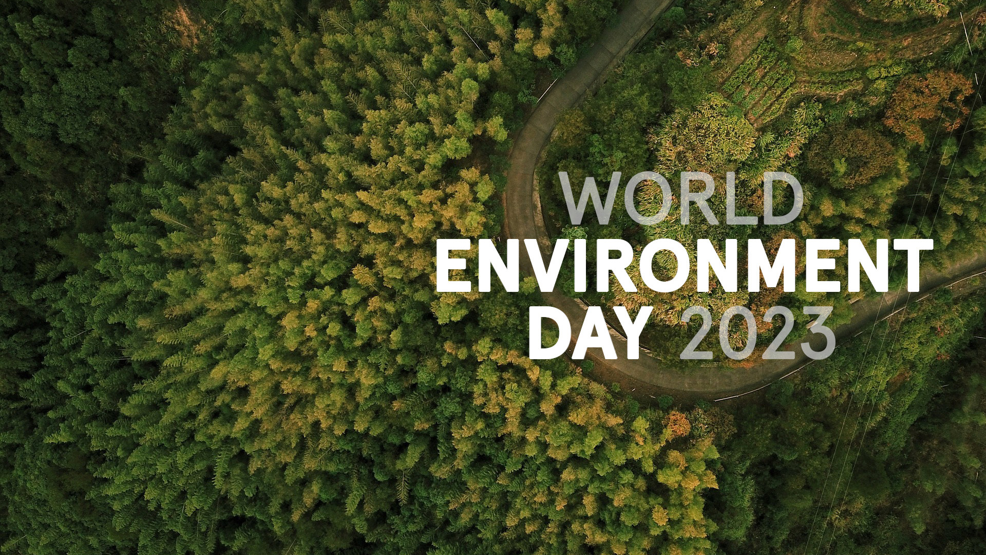 Photo taken on a drone of a forest with trees and a round curvy road. Most of the image is made up of yellow and green trees. World Environment Day 2023 is spelt out in a thick bold sans serif font.