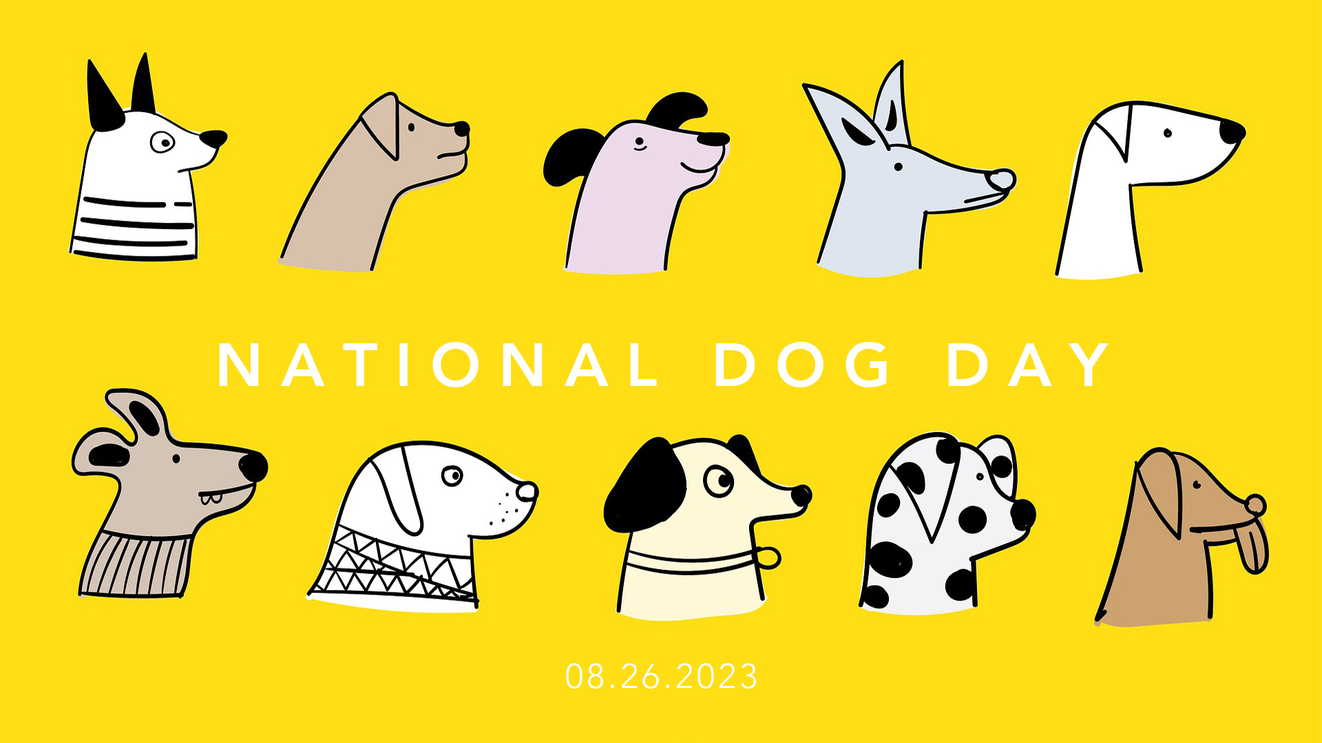 Graphic is of 5 columns and 2 rows of animated dogs lined up. National Dog Day is written in the middle of the graphic in a white simple font.