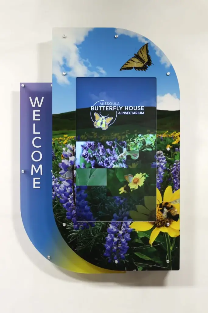 butterfly digital signage surround