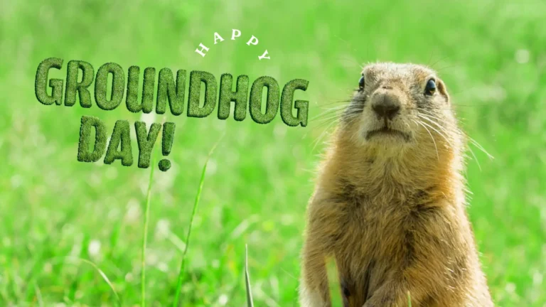 A photo of a groundhog sitting and facing forward near the right side. The groundhog is sitting in a bright green field of grass. The the left reads ‘Happy Groundhog Day!’ ‘The words ‘Groundhog Day!’ are slightly tilted, and are made out of AI generated sans letters that appear to be made out of grass. The word ‘Happy’ is arched above the ‘DHO’ in groundhog. ‘Happy’ uses a small, all-caps, white sans serif font.