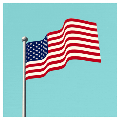 A light blue background with a clipart image of the American flag on a gray metal flag pole. The flag is waving in the wind.
