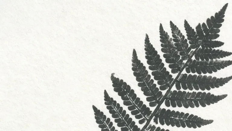 A paper texture fills the image. The right side is diagonally filled with a single black, fern leaf print stretching up from the bottom until it reaches the top right corner.