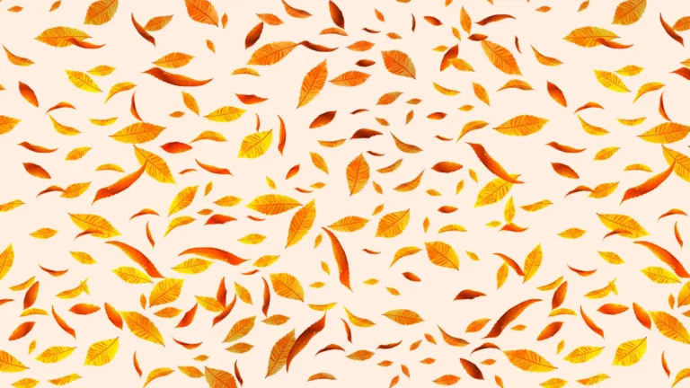 A pale, peachy orange background covered in falling clipart style leaves. The leaves are a variety of fall colors, such as bright oranges, yellows and browns.
