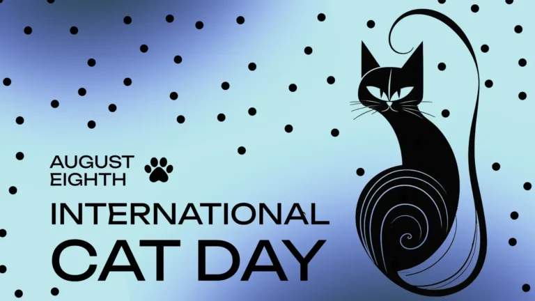 A gradient blue background where there’s dark blue in the top left and bottom right corners that turn into a light blue in the center of the graphic. Small black polka-dots are scattered across the image. A solid black drawing of a cat sitting down is against the right side. The cat is sitting with its back towards facing, but its head is turned around so its face can be seen. Its tail is also sticking straight up along the right side. The details of the cat’s face and body aren’t a color, instead they show through the gradient background. Left aligned in the bottom left corner is text. Stacked near the center is ‘August EIGHT’ in small thin letters. A black paw print icon sits right next to the August Eight to its right. Next reads ‘INTERNATIONAL’ in medium sized, semibold letters. Lastly, in large bold letters at the bottom reads CAT DAY. An all-caps, black, sans font was used for all the words.