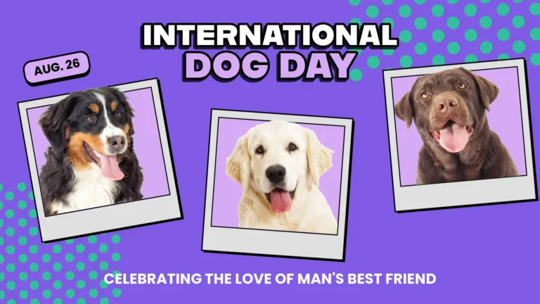 Three light gray square shapes are scattered horizontally across the center of the graphic. Inside gray rectangles is a lavender square making the shapes similar to polaroid photos. Each polaroid shape has an actual photo of a dog coming out of them. A bernese mountain dog is on the left, a white golden retriever is in the center, and a chocolate lab is on the right. In the top and bottom corners of the graphic are cyan blue polka dots. The entire background is bright purple. Along the bottom edge says ‘CELEBRATING THE LOVE OF MAN’S BEST FRIEND,’ in small, bold, sans letters. Above the bernese mountain dog is a small laventer pill shaped rectangle with a black outline and drop shadow. Inside it is the date AUG. 26 in the same sans font, but in black instead of white. Stacked in the top center of the graphic, and above the retriever, says, ‘International Dog Day.’ The words are much larger but still use the same font, and have a thin black outline and a black dropshadow. International is white, while Dog Day is in lavender.