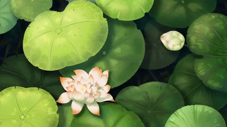 A digital watercolor painting of green lilypads floating on top of dark, almost black water. The painting uses a birds eye view perspective. One white lotus flower with pink petal tips sits near the bottom left corner. Near the top right corner is a small lotus flower bud in the same color.