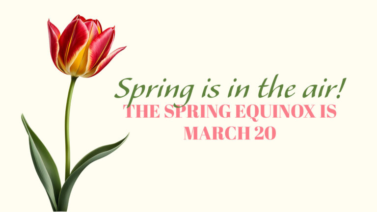 An off-white background with a yellow undertone. On the left is an AI image of a single red and yellow variegated tulip flower on a long green stem with two leafs. Centered to the right of the flower is a message. The top sentence uses a italic, green serif font. It says, "Spring is in the air!" The second line reads, 'The spring equinox is' Then the date March 20 is the bottom line. The last two lines of text use a bold, pink, all-caps, serif font.