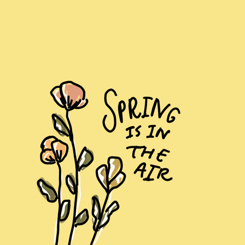 A light yellow background with a black line drawing of three floral stems. The flowers are a gold, pale red, and olive color. There are white highlight lines that move around the stems. Next to them are a few black handwritten words saying, "Spring is in the air."