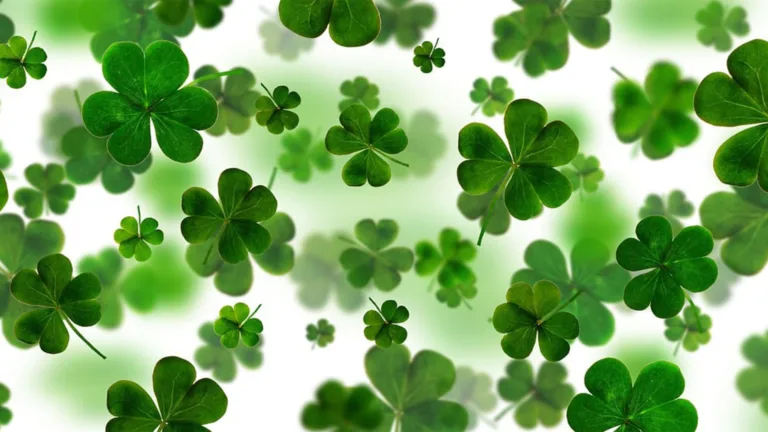 A digitally made background of green four-leaf clovers falling down an filling a white background.