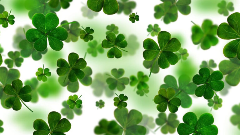 A digitally made background of green four-leaf clovers falling down an filling a white background.