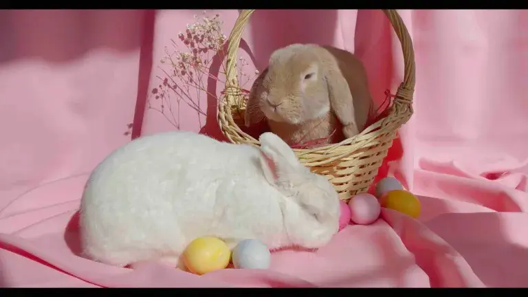 A light pink fabric backdrop. A light beige, woven basket with sits on the fabric with pastel colored, plastic Easter eggs around it. A brown bunny with droopy ears sits in the basket. A white rabbit is in front of the basket and is sniffing around.