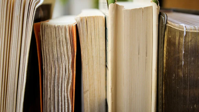 A close-up photo of a books stacked next to each other. They appear to be on their spines so their open side faces up.