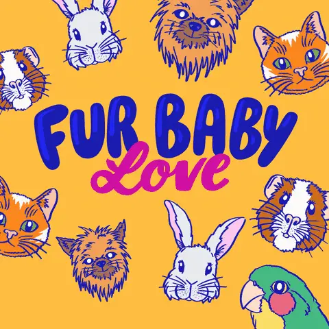 A dark, golden, orange background. Nine drawings of animal faces are scattered around and jitter in place. In the center are large blue, bubble letters saying, "FUR BABY." Below is another word, 'love,' in dark pink, cursive letters. The words also jitter in place. The animals are, bunnies, cats, dogs, a parrot, and hamsters.