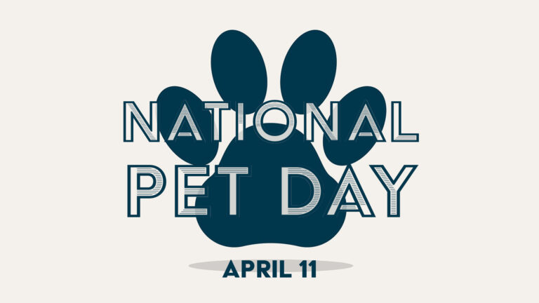 A light beige background with a large navy paw print icon in the center. The paw print appears to be floating, because it has a small shadow below it. Over the icon are large words that say, "National Pet Day." The words use a navy outlined sans font. Inside each letter is filled in with a transparent, light beige color. Below the icon is the date April 11 in a small, bold, navy sans font.