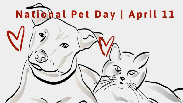 A light gray background with a line drawing of a dog and cat laying next to each other fills the graphic. A red heart outline floats next to each animal's head on the left. Along the top edge are the words, 'National Pet Day | April 11." The words use a bold, red, sans font.