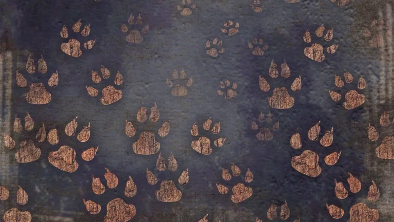 A dark black background with many paw prints scattered across it. The paws appear to be made of a dark wood.