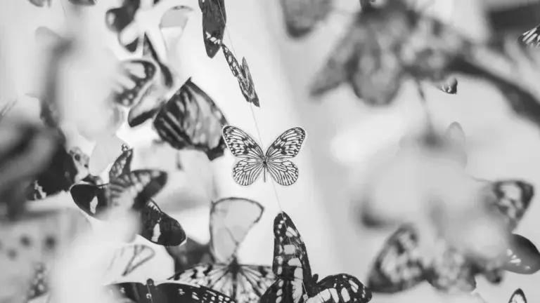 A black and white photo of paper butterfly garlands hanging vertically down. Most of the butterflies are out of focus and cover the entire image except of the center. In the center is a single, small butterfly in focus.