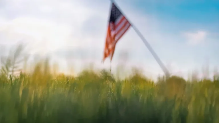An ai painting of a blurry landscape. The foreground is long green grass. The sky is sunny blue and large white clouds. A tilted flag pole with the American flag handing down in centered in the mid ground.