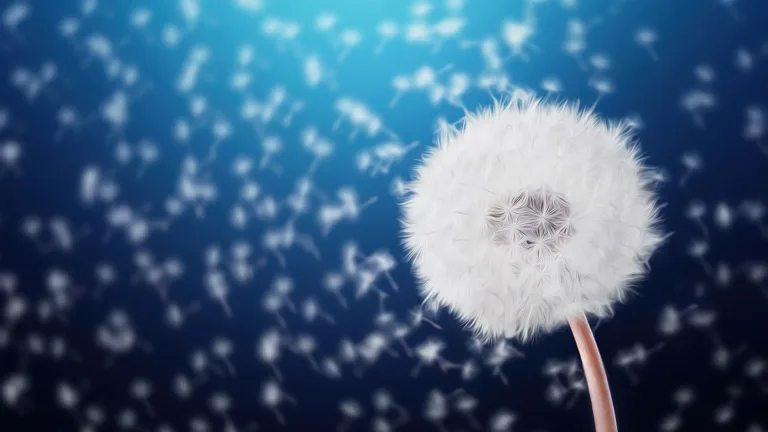 An AI image of a fluffy dandelion flower that has gone to seed. The flower is on the right side. The background is covered with dandelion seeds floating away. A light blue to dark blue gradient fills the background sky.