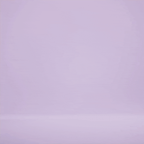 A lavender background. A stegosaurus family walks into the gif from the left edge and off the gif through the right edge. The largest dino, the parent, walks in first. Their body is teal with purple back and tail spikes. A small pink and purple dino is biting the parent's tail and is being dragged along. Another two small dinos run past the teal and pink dinos. The first is all orange with pink spikes and the second is neon green.