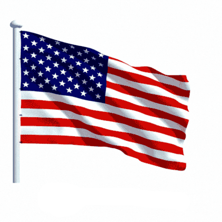 A solid white background with a clip art image of the American flag waving in the wind.