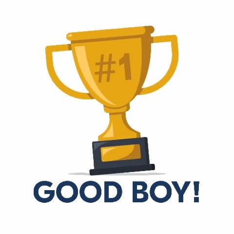 A solid white background with a digital illustration of a #1, golden trophy. The trophy dramatically tilts to the left and right. Below it says, "GOOD BOY!" in bold, dark blue, sans letters.
