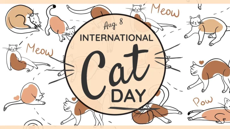 A white background covered in black line drawings of cats. Behind each cat is a blob of color. Either tan, peach, or brown. The top and bottom edges have a thin peach horizontal line. The center of the graphic is covered with a large tan circle with a dark brown outline. Inside the circle is stacked text. At the very top, in small cursive, is the date Aug. 8. Then in medium sized, sans letters is 'International.' The word 'Cat' cover the majority of the center of the circle. It is cursive and slightly tilted. There are three lines on either side of the word like whiskers. Lastly, 'Day' is at the bottom, near the right, in medium sized, sans letters. A line is drawn below 'day.' All the words are dark brown.