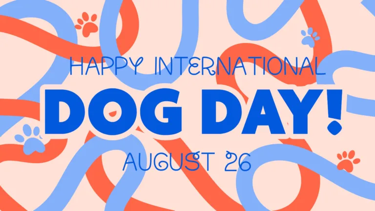 A light beige background with red-orange and light blue wavy lines overlapping and covering the entire graphic. There are three lines of large text in the center. First 'HAPPY INTERNATIONAL' is in thin, sans letters. Then, 'DOG DAY!' in bold sans letters. Lastly, 'August 26' in thin, sans letters again. All the words are royal blue. There are four paw print icons around the words that use the same two colors as the lines.
