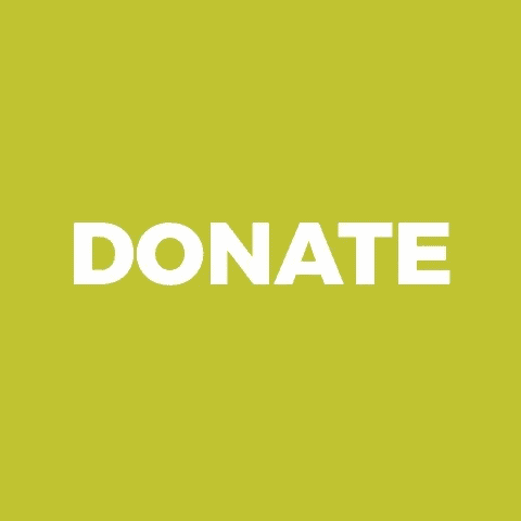 A bright, olive green background is scattered with drawings of multi-colored confetti. The confetti has squiggly lines, triangle, dots, and star shapes. The large word 'DONATE' is in the center. It is in a bold, white, sans font. It slightly grows larger and smaller repeatedly.